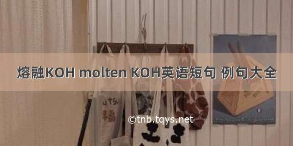 熔融KOH molten KOH英语短句 例句大全