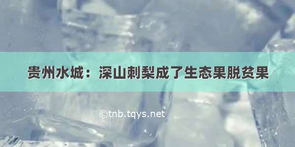 贵州水城：深山刺梨成了生态果脱贫果