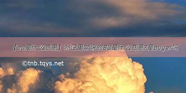 【bu是什么意思】外企里常说的BU是什么意思?是buyer吗