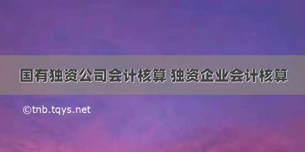 国有独资公司会计核算 独资企业会计核算