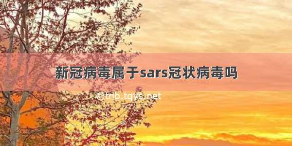 新冠病毒属于sars冠状病毒吗