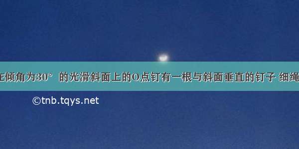 如图所示 在倾角为30°的光滑斜面上的O点钉有一根与斜面垂直的钉子 细绳的一端拴在