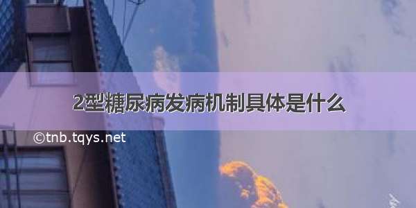 2型糖尿病发病机制具体是什么