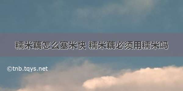 糯米藕怎么塞米快 糯米藕必须用糯米吗