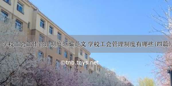 学校工会工作管理制度汇编范文 学校工会管理制度有哪些(四篇)