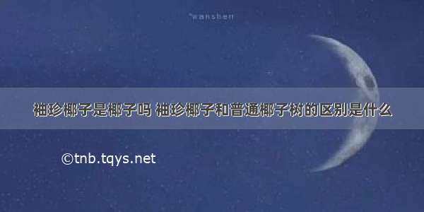 袖珍椰子是椰子吗 袖珍椰子和普通椰子树的区别是什么