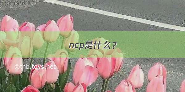 ncp是什么？