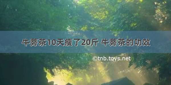 牛蒡茶10天瘦了20斤 牛蒡茶的功效