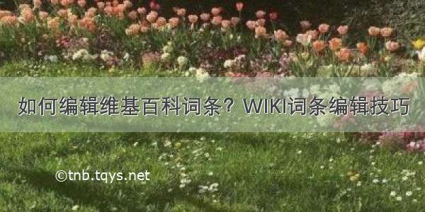 如何编辑维基百科词条？WIKI词条编辑技巧