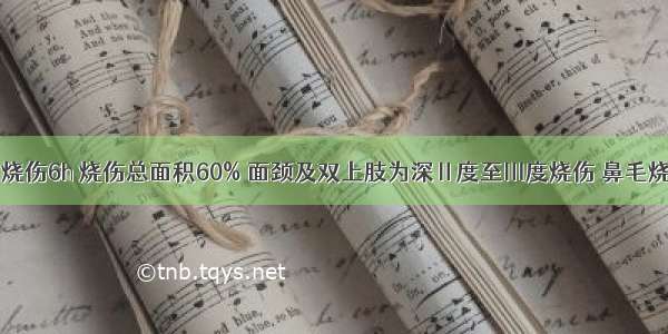 男 27岁 烧伤6h 烧伤总面积60% 面颈及双上肢为深Ⅱ度至Ⅲ度烧伤 鼻毛烧焦 声嘶