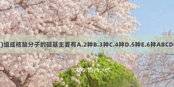 ()组成核酸分子的碱基主要有A.2种B.3种C.4种D.5种E.6种ABCDE