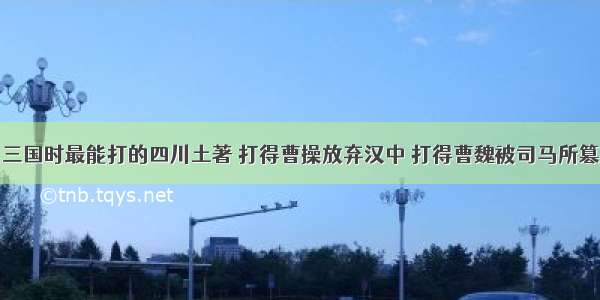 三国时最能打的四川土著 打得曹操放弃汉中 打得曹魏被司马所篡