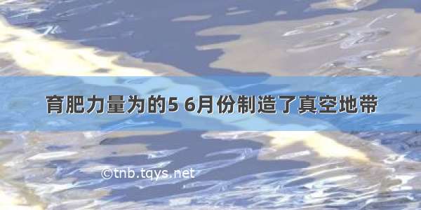 育肥力量为的5 6月份制造了真空地带