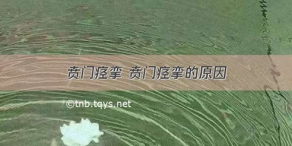 贲门痉挛 贲门痉挛的原因