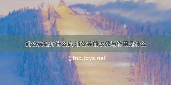 浦公英冶疗什么病 浦公英的攻效与作用是什么