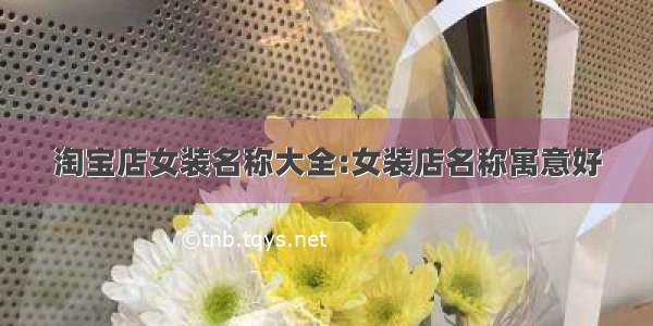 淘宝店女装名称大全:女装店名称寓意好