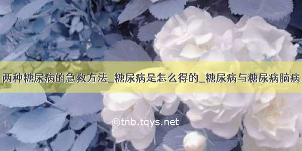 两种糖尿病的急救方法_糖尿病是怎么得的_糖尿病与糖尿病脑病