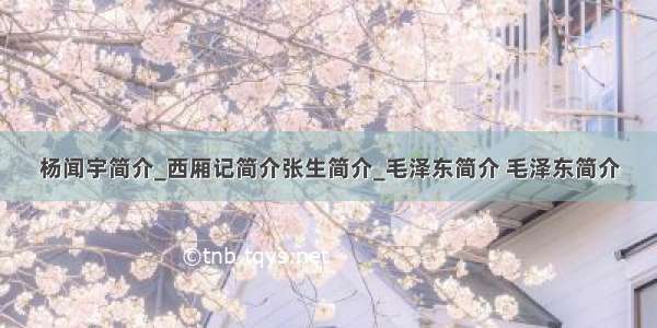 杨闻宇简介_西厢记简介张生简介_毛泽东简介 毛泽东简介