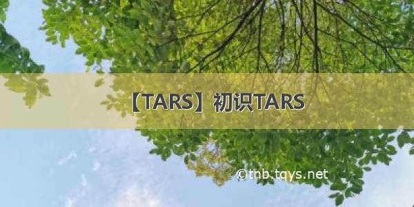 【TARS】初识TARS