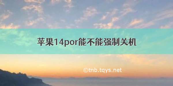 苹果14por能不能强制关机