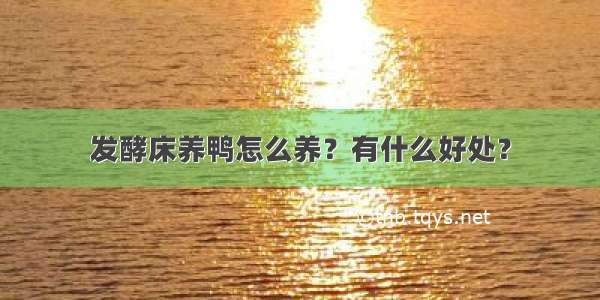 发酵床养鸭怎么养？有什么好处？