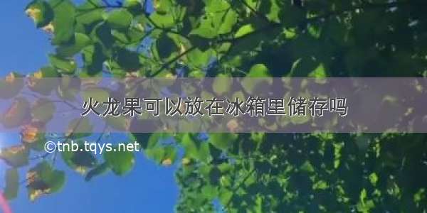 火龙果可以放在冰箱里储存吗