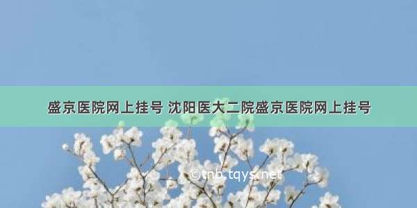 盛京医院网上挂号 沈阳医大二院盛京医院网上挂号