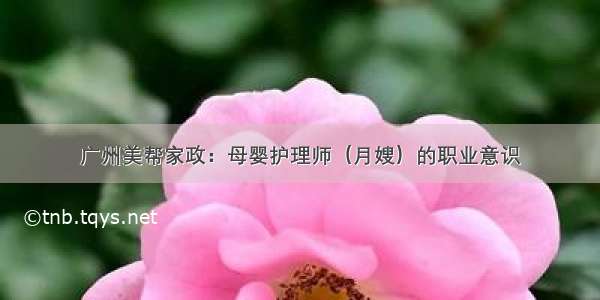 广州美帮家政：母婴护理师（月嫂）的职业意识