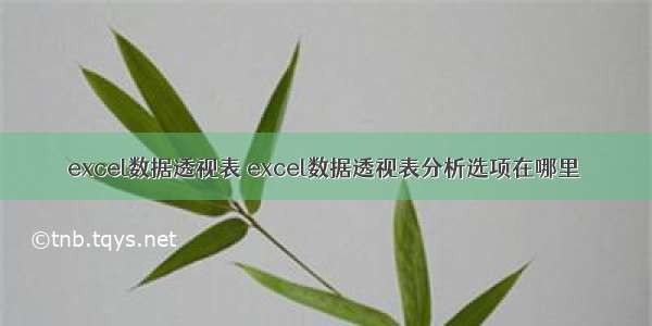 excel数据透视表 excel数据透视表分析选项在哪里