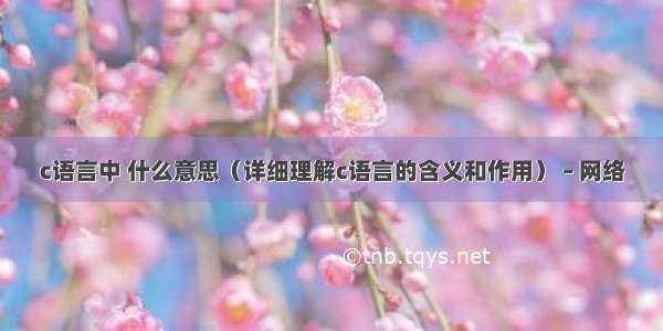 c语言中 什么意思（详细理解c语言的含义和作用） – 网络