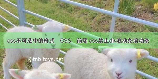 css不可选中的样式 – CSS – 前端 css禁止div滚动条滚动条