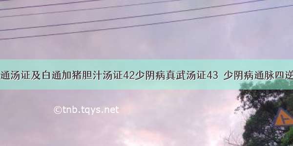 41少阴病白通汤证及白通加猪胆汁汤证42少阴病真武汤证43．少阴病通脉四逆汤证 44．少