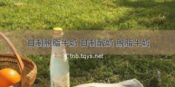 自制脱脂牛奶 自制酸奶 脱脂牛奶