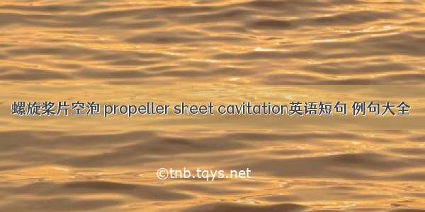 螺旋桨片空泡 propeller sheet cavitation英语短句 例句大全