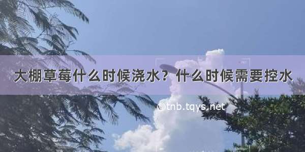 大棚草莓什么时候浇水？什么时候需要控水