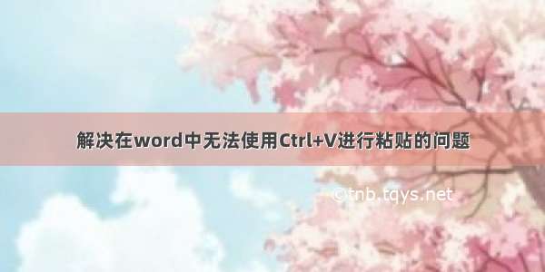 解决在word中无法使用Ctrl+V进行粘贴的问题