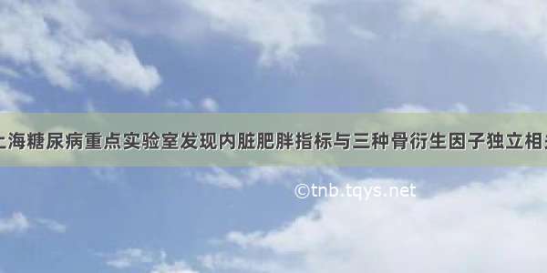 上海糖尿病重点实验室发现内脏肥胖指标与三种骨衍生因子独立相关