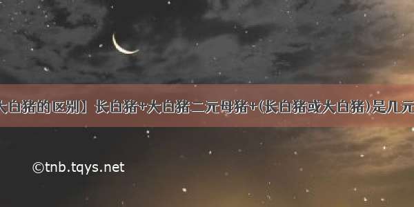 【长白猪与大白猪的区别】长白猪+大白猪二元母猪+(长白猪或大白猪)是几元猪可以做育商