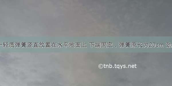 如图所示 一轻质弹簧竖直放置在水平地面上 下端固定．弹簧原长为20cm 劲度系数k＝2