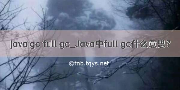 java gc full gc_Java中full gc什么意思？