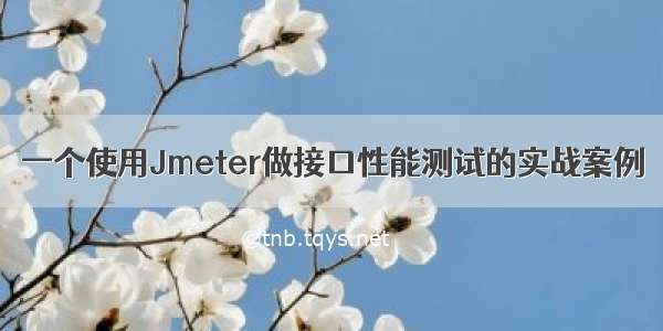 一个使用Jmeter做接口性能测试的实战案例