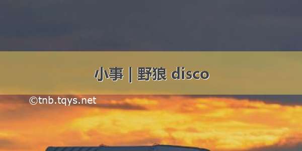 小事 | 野狼 disco