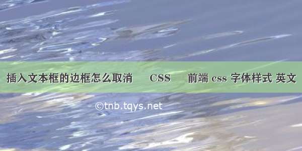 插入文本框的边框怎么取消 – CSS – 前端 css 字体样式 英文