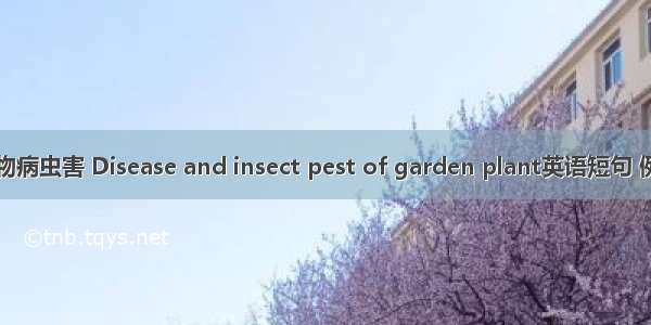 园林植物病虫害 Disease and insect pest of garden plant英语短句 例句大全