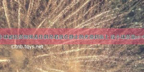 如图所示 小球被轻质细绳系住斜吊着放在静止的光滑斜面上 设小球质量m=0.5kg 斜面