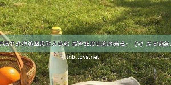 如图所示 把两个小灯泡串联接入电路 研究串联电路的特点：（1）开关闭合并且两灯都