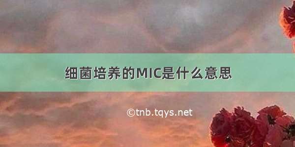 细菌培养的MIC是什么意思