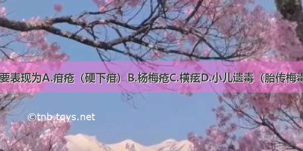 Ⅱ期梅毒的主要表现为A.疳疮（硬下疳）B.杨梅疮C.横痃D.小儿遗毒（胎传梅毒）E.杨梅结毒