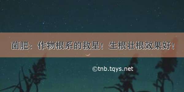 菌肥：作物根系的救星！生根壮根效果好！