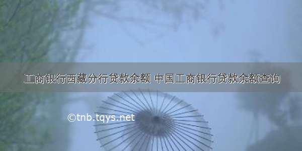 工商银行西藏分行贷款余额 中国工商银行贷款余额查询